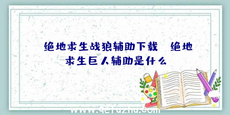 「绝地求生战狼辅助下载」|绝地求生巨人辅助是什么